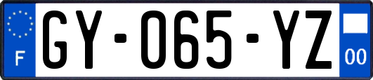 GY-065-YZ
