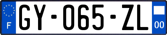 GY-065-ZL