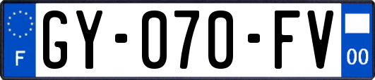 GY-070-FV