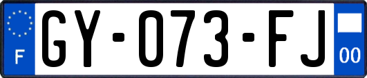 GY-073-FJ