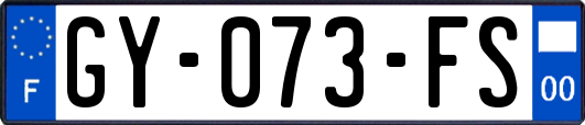 GY-073-FS
