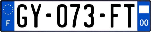 GY-073-FT