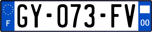 GY-073-FV