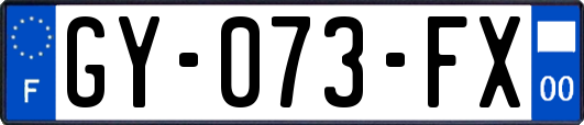 GY-073-FX