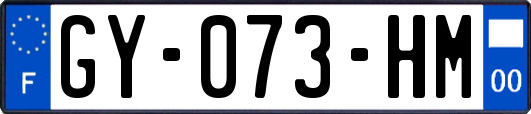 GY-073-HM