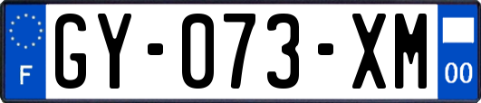 GY-073-XM
