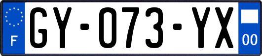 GY-073-YX