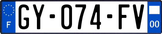 GY-074-FV