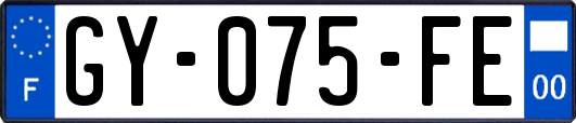 GY-075-FE