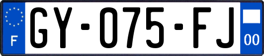 GY-075-FJ