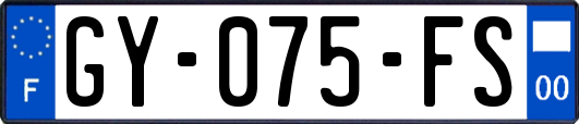 GY-075-FS