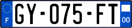 GY-075-FT