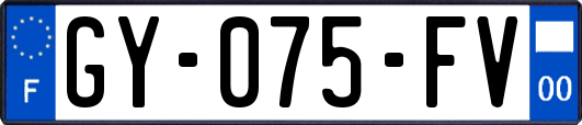 GY-075-FV
