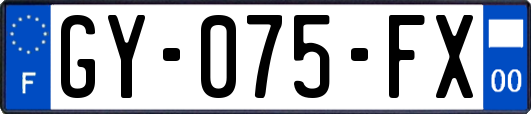GY-075-FX