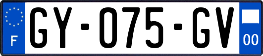 GY-075-GV
