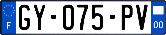 GY-075-PV