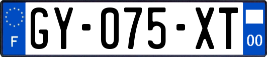 GY-075-XT