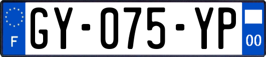 GY-075-YP
