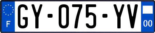GY-075-YV