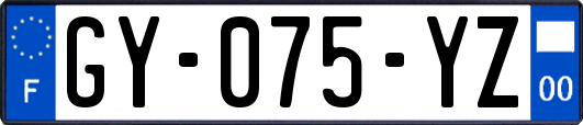 GY-075-YZ