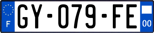 GY-079-FE