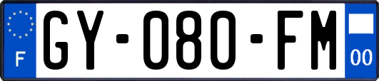 GY-080-FM