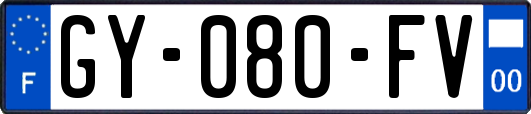 GY-080-FV