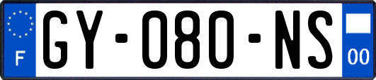 GY-080-NS