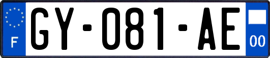 GY-081-AE
