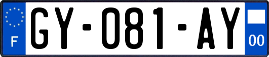 GY-081-AY