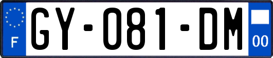 GY-081-DM