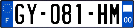 GY-081-HM