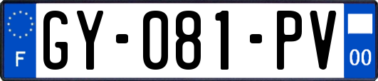 GY-081-PV