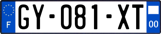 GY-081-XT