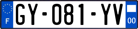 GY-081-YV