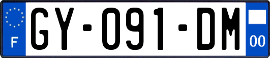 GY-091-DM