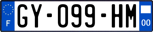 GY-099-HM