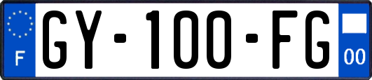 GY-100-FG