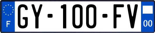 GY-100-FV
