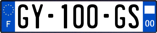 GY-100-GS