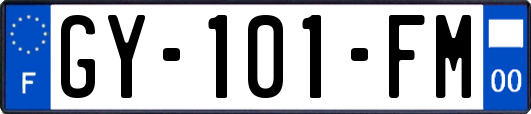 GY-101-FM