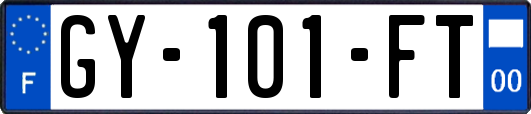 GY-101-FT