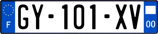 GY-101-XV