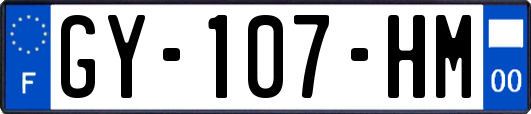GY-107-HM