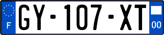 GY-107-XT