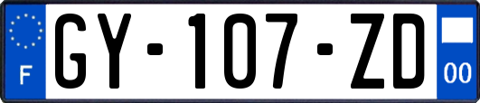 GY-107-ZD