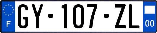 GY-107-ZL