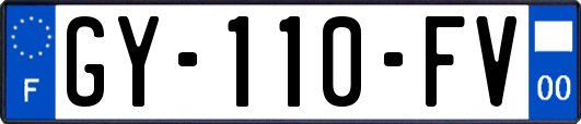 GY-110-FV