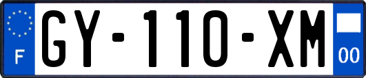 GY-110-XM