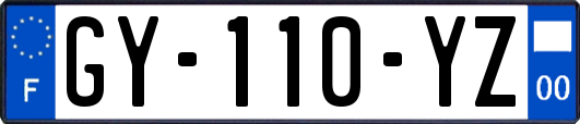 GY-110-YZ